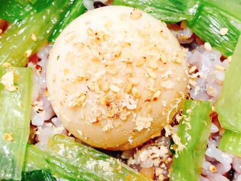 小松菜と39穀米の味卵のヘルシー丼